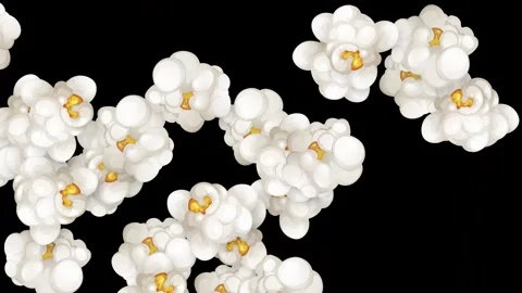 Exploding Popcorn Kernels Falling Against a Solid Black Background Stock Footage 346569741