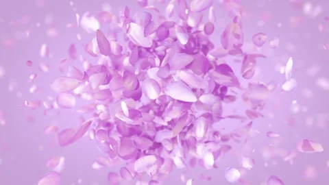 Exploding rose petals Stock Footage 266916454