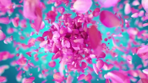 Exploding rose petals Stock Footage 266916519