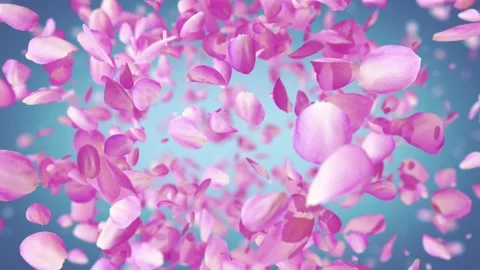 Exploding rose petals Stock Footage 266916537