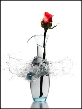 Exploding vase with red rose 스톡 사진