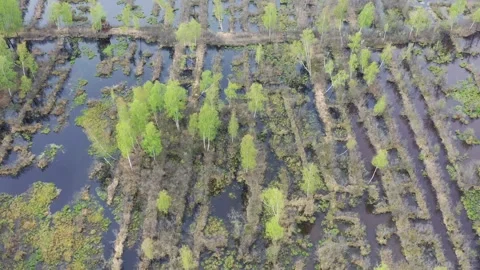 Exploited peat bog flooded in spring, aerial Stock Footage 291323797