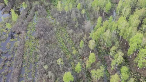 Exploited peat bog flooded by a spring flood, aerial view Stock Footage 293055797