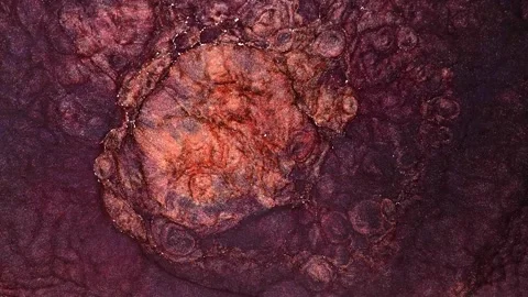 Exploration of colors through alcohol ink in abstract video art Stock-Footage 337902697
