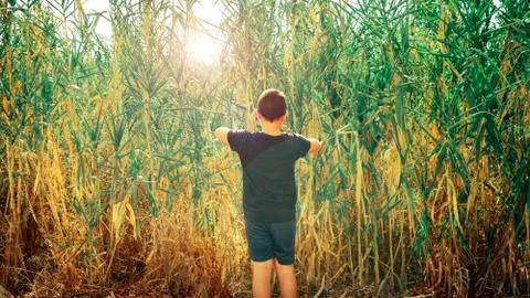 Exploration concept. Child exploring among the vegetation. Stock Photos