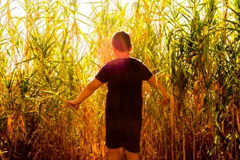 Exploration concept. Child exploring among the vegetation. Stock Photos