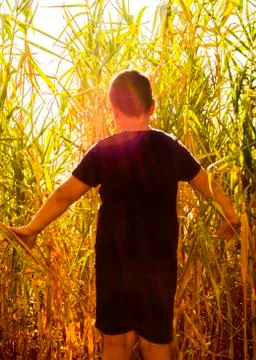 Exploration concept. Child exploring among the vegetation. Stock Photos