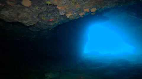 Exploration inside a cave in the waters of the Adriatic Sea Vídeos de archivo 140604531