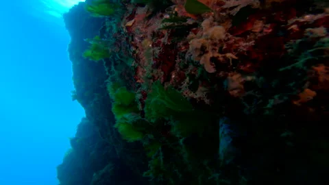 Exploration inside a cave in the waters of the Adriatic Sea Stock Footage 140671728