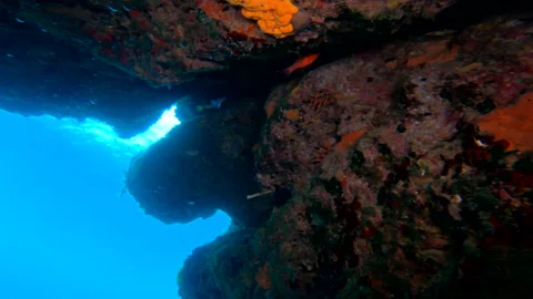 Exploration inside a cave in the waters of the Adriatic Sea Stock Footage 143240021