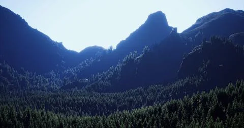 Exploration of mountain range with dense forest under bright sunlight Illustrazione stock