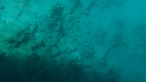 Exploration of the seabed through glass (8) Stock Footage 128260467