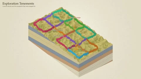 Exploration Tenement Licence Blocks Prospect Targets Block Diagram Mineral Stock Footage 343896673