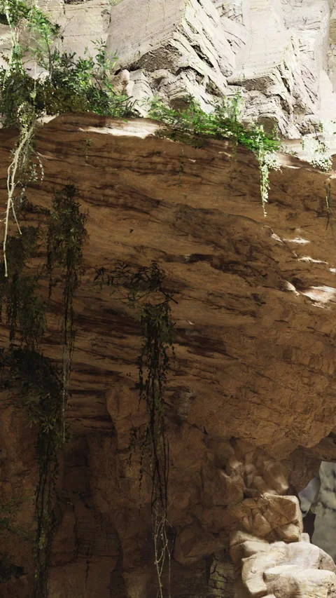 Exploration of a vast cave with rock formations and lush greenery Stock Footage 321317456