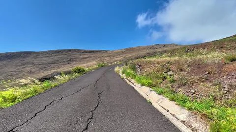 Exploratory Scenic Mountain Road Surrounded by Lush Greenery Under a Bright Stock Photos