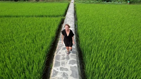 Explore Adventure in Lush Rice Fields Stock Footage 289012150
