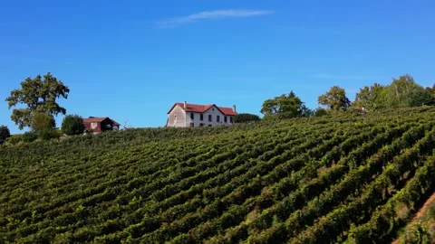 Explore the aerial view of a vineyard in Jurancon, France showing green vines Stock Footage 346837196