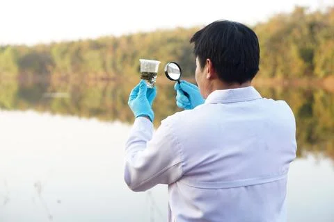 Explore, analysis water quality and creature from natural source. Stock Photos