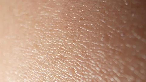 Explore the arm's texture surface skin with macro video footage. 4K. Stock Footage 262211237