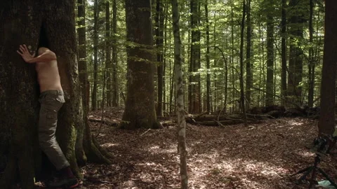 Explore Bavarian Forest as a man plays peek-a-boo with a large tree Stock Footage 325722283