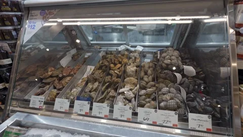 Explore the beautiful and fresh seafood display at a vibrant local market today Stock Footage 295075838