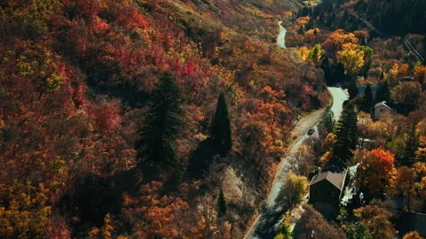 Explore beautiful autumn drives through Houses Valley Stock Footage 310309464