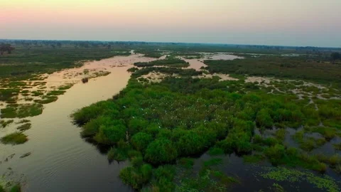 Explore the beauty of okavango delta at sunset and sunrise Stock Footage 326019329