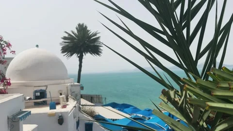Explore the beauty of Sidi Bou Said in Tunisia with its iconic whitewashed wa 스톡 동영상 313345133