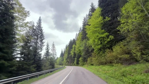 Explore the Beauty of a Winding Road Through Lush Green Forests Beneath Cloudy Stock Footage 314464565