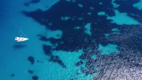 Explore the Blue Waters and Diverse Marine Life off the Coast of a Tropical Stock Footage 333918684