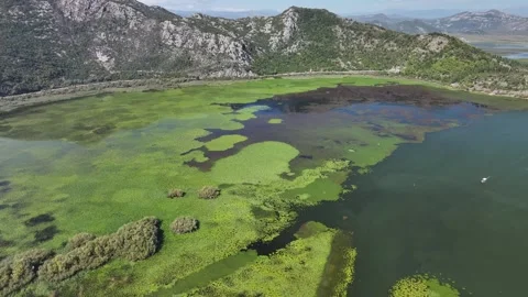 Explore the breathtaking aerial views of Skadar Lake surrounded by stunning Stock Footage 287790499