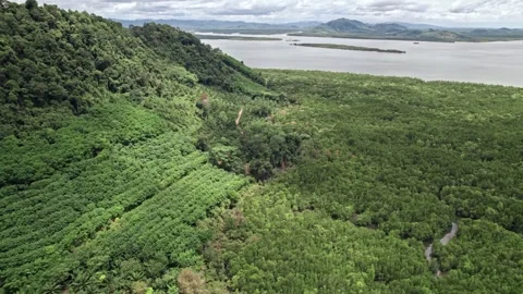 Explore breathtaking aerial views of Thailand's lush landscapes and coastline Video stock 310557851
