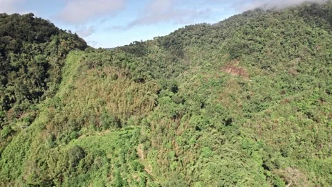 Explore breathtaking aerial views of Thailand's stunning landscapes and nature Stock Footage 310558099