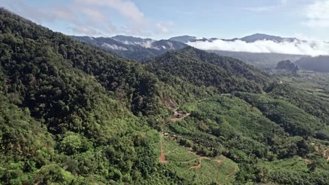 Explore breathtaking aerial views of Thailand's natural beauty Stockbeeldmateriaal 310558116