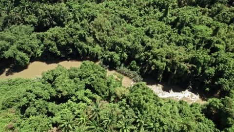 Explore breathtaking aerial views of Thailand's natural landscapes Video stock 310558217