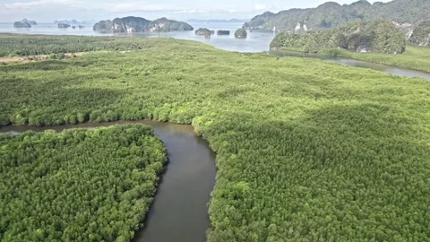 Explore breathtaking aerial views of Thailand's natural landscapes Video stock 310558492
