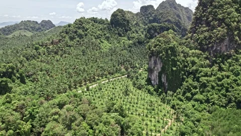 Explore breathtaking aerial views of Thailand's natural beauty and landscapes Stockbeeldmateriaal 310558858
