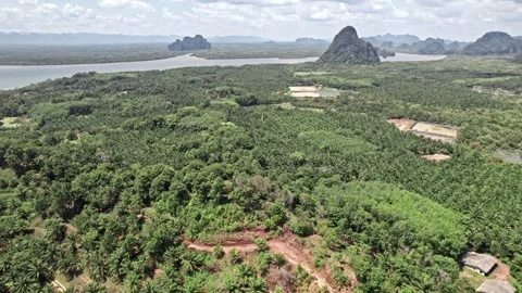 Explore breathtaking aerial views of Thailand's natural beauty and landscapes Video stock 310558977