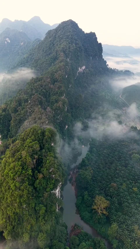 Explore the breathtaking beauty of Khao Sok, Thailands lush tropical paradise Vídeo Stock 327765546