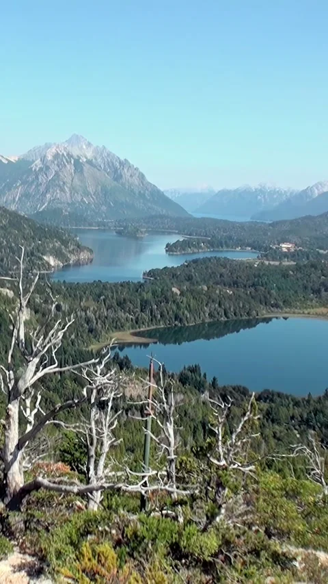 Explore the breathtaking beauty of Los Alerces National Park in Patagonia Stock Footage 320385688