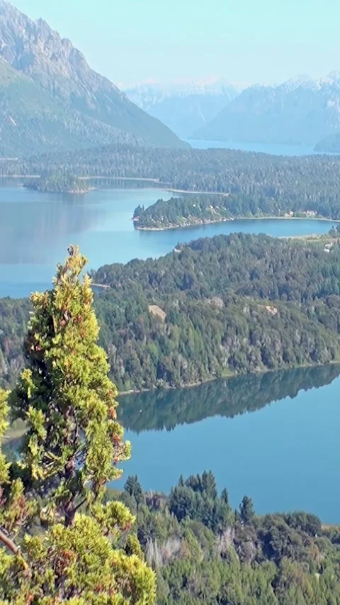 Explore the breathtaking landscapes of Los Alerces National Park in Patagonia Stock Footage 320385755