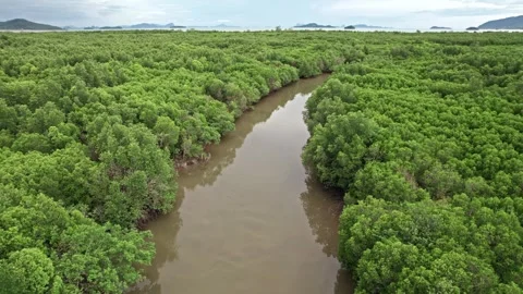 Explore breathtaking views of Thailand's untouched nature Stock Footage 310559909