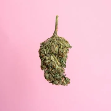 Explore cannabis strains with a new perspective. Cannabinoid and terpene prof Stock Photos