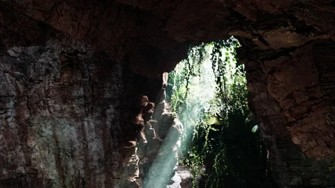 Explore cave with light shining through opening revealing green vines Stock Footage 342048519