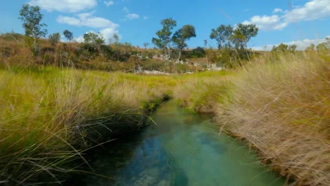 Explore the channels of okavango delta and discover nature's beauty Stock Footage 326005031