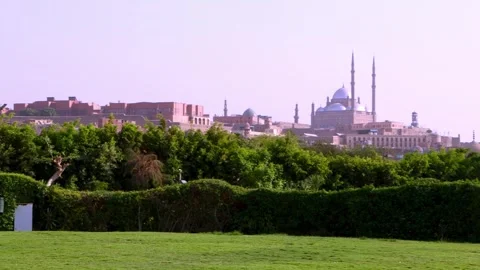 Explore the Citadel of Saladin and Muhammad Ali Mosque from AlAzhar Park 스톡 동영상 317926486