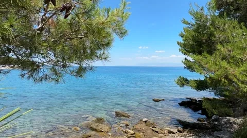 Explore a clear coastal view with trees and rocks near the water on a sunny day Stock Footage 339079951