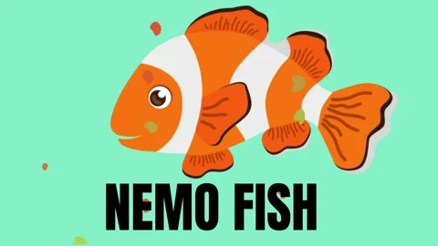 Explore a collection of vibrant and engaging vector animations featuring va.. Stock Footage 270125301