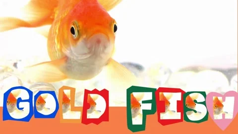 Explore a collection of vibrant and engaging vector animations featuring va.. Stock Footage 270125312