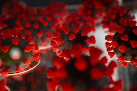 Explore a COVID-19 bacteria plastic model Foto stock